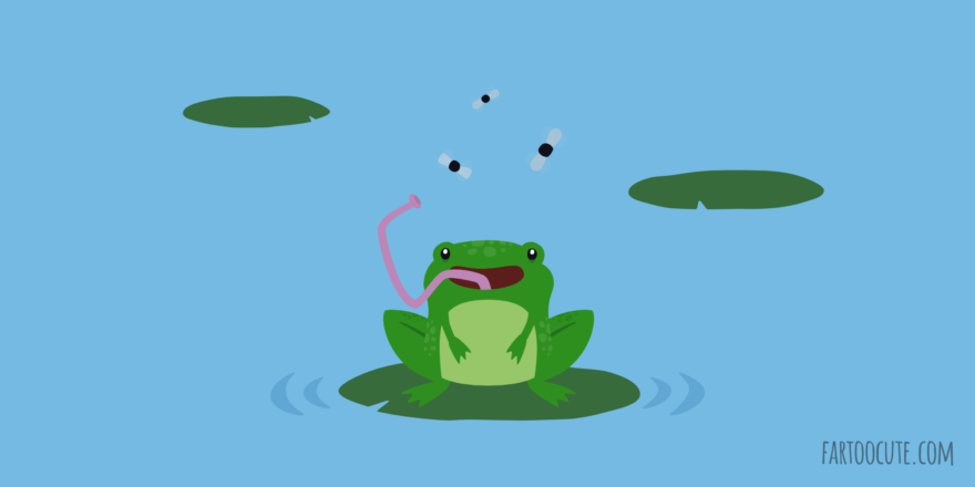 Frogs are a happy bunch – Far too Cute